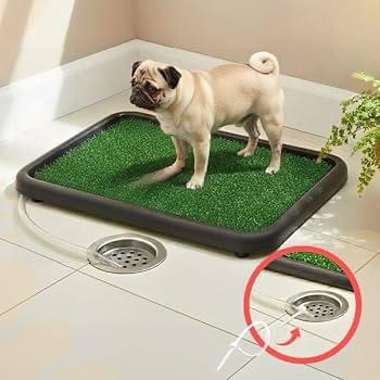 Sanitário Canino com Grama Sintética e Sistema de Dreno - Reutilizável